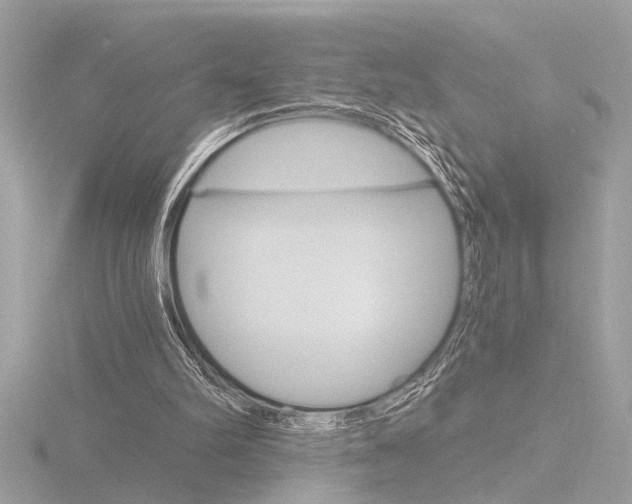 X0000116860102200912220950