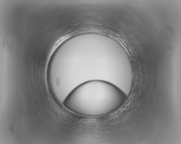 X0000116860104200912220950