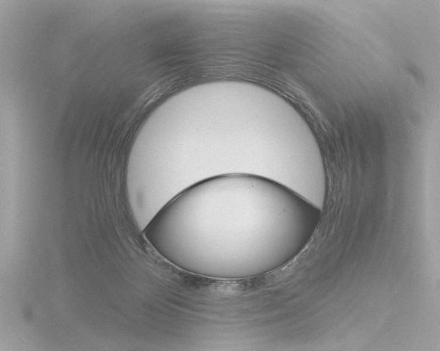X0000116860124200912220950