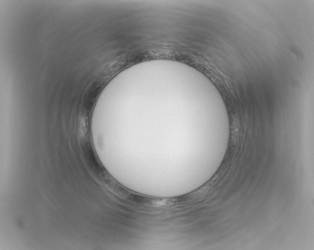 X0000116860130200912220950