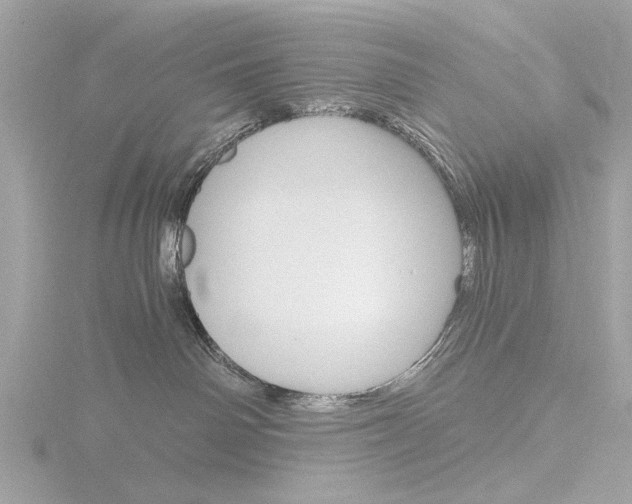 X0000116860142200912220949