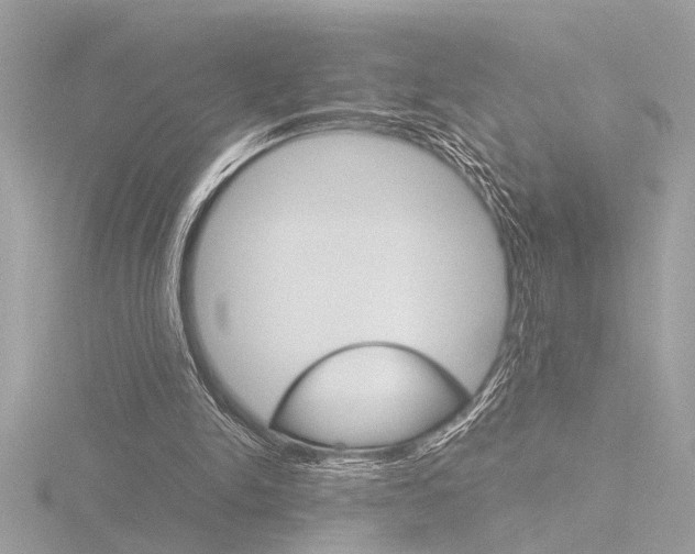 X0000116860150200912220949