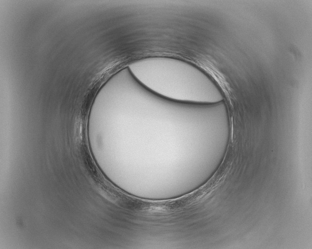 X0000116860157200912220949