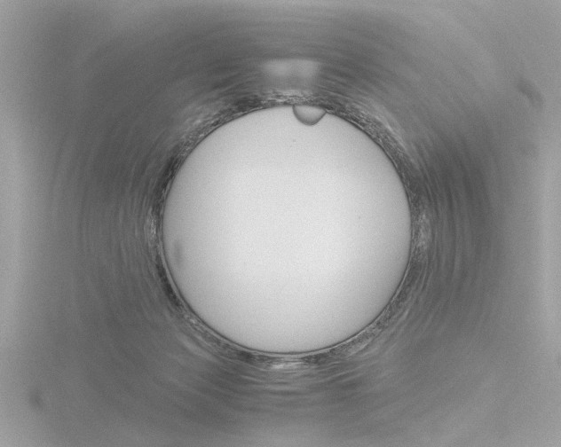 X0000116860173200912220949