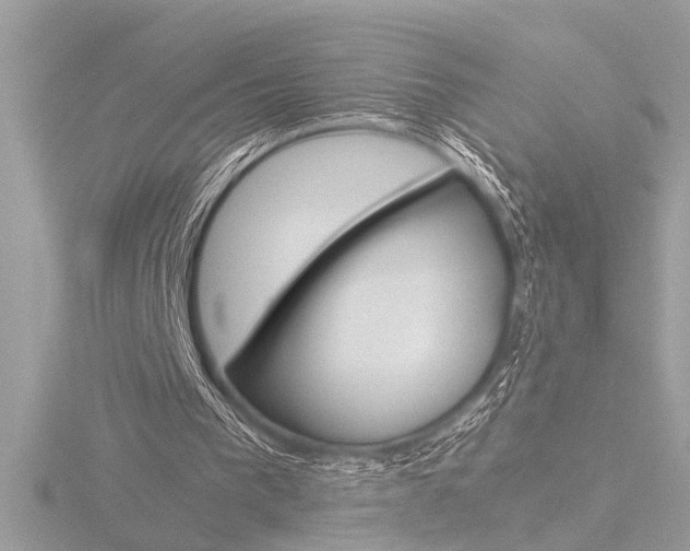 X0000116860193200912220949