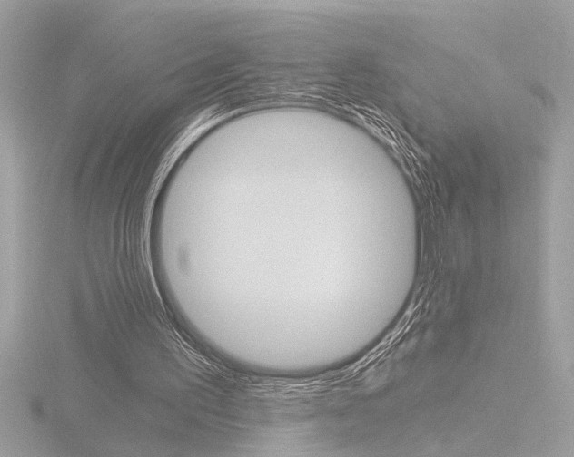 X0000116860195200912220949