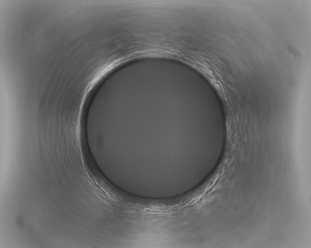 X0000116860196200912220949