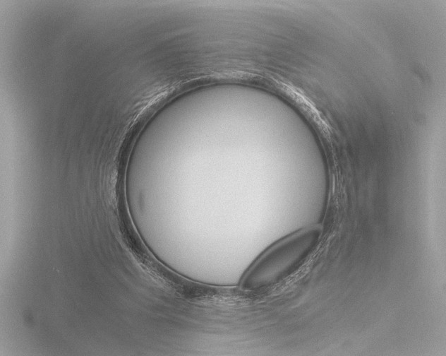 X0000116860201200912220949