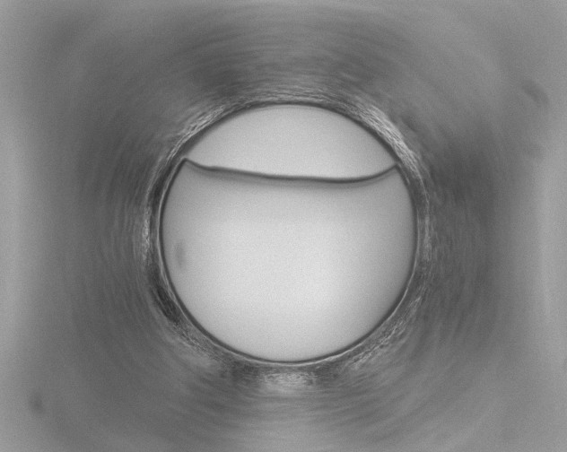 X0000116860202200912220949