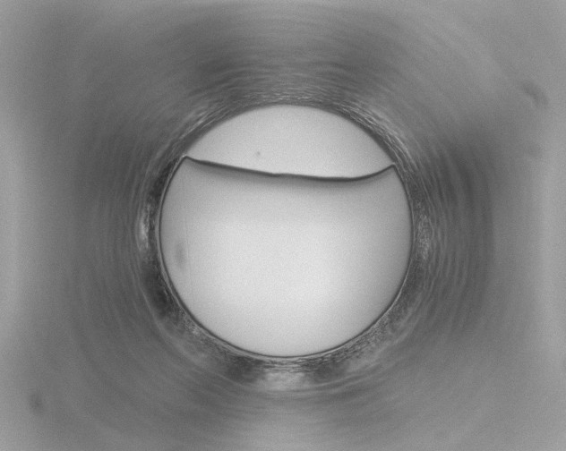X0000116860214200912220949