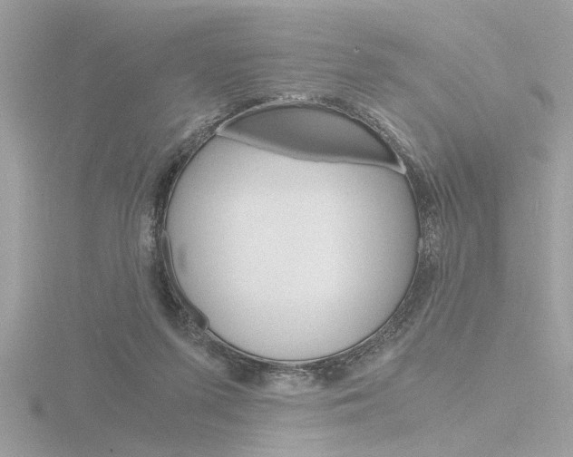 X0000116860215200912220949