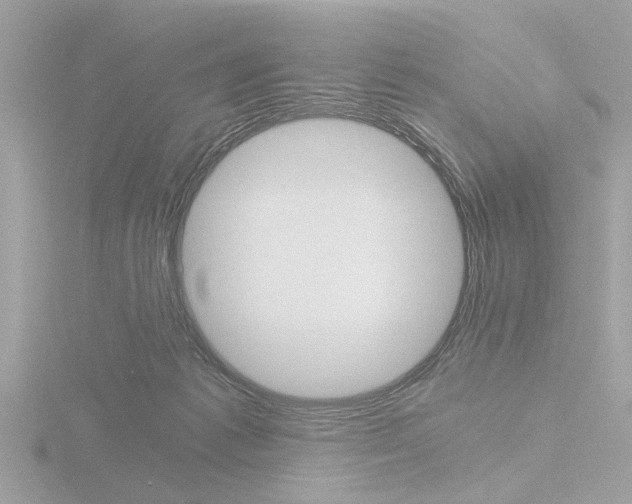 X0000116860221200912220948