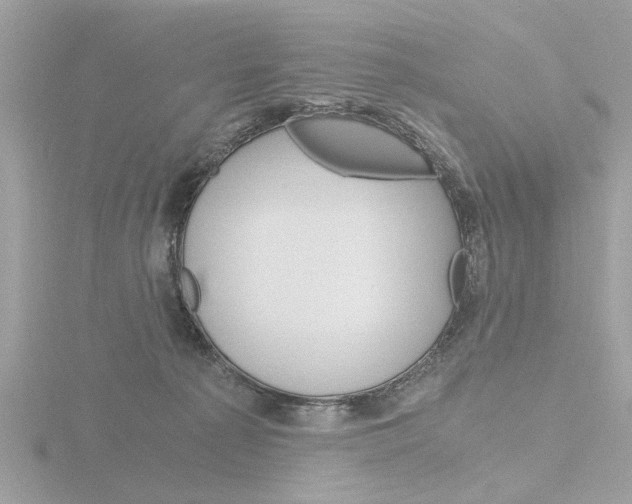 X0000116860225200912220948