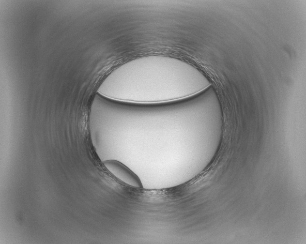 X0000116860240200912220948