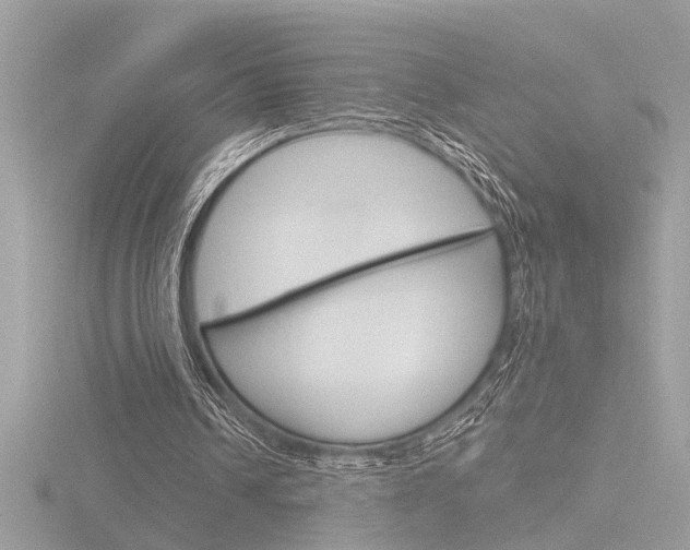 X0000116860242200912220948