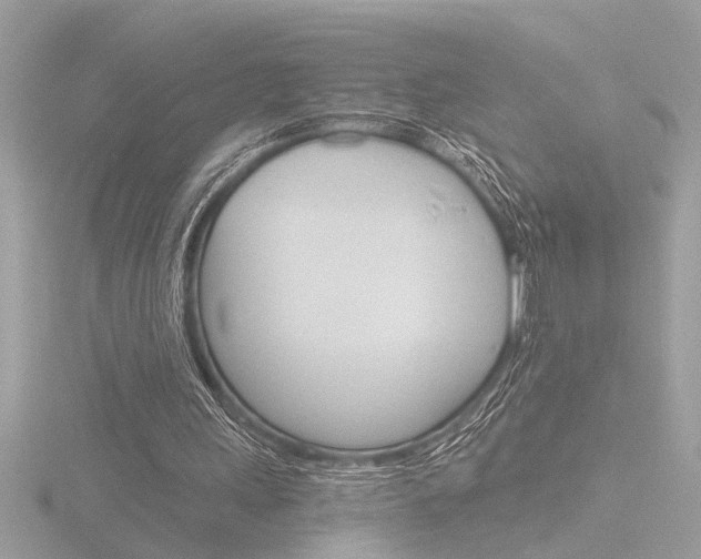 X0000116860243200912220948