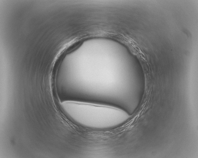 X0000116860244200912220948