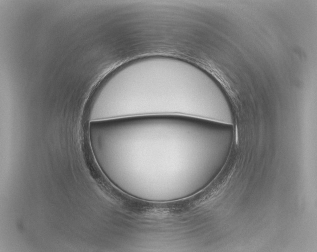 X0000116860252200912220948