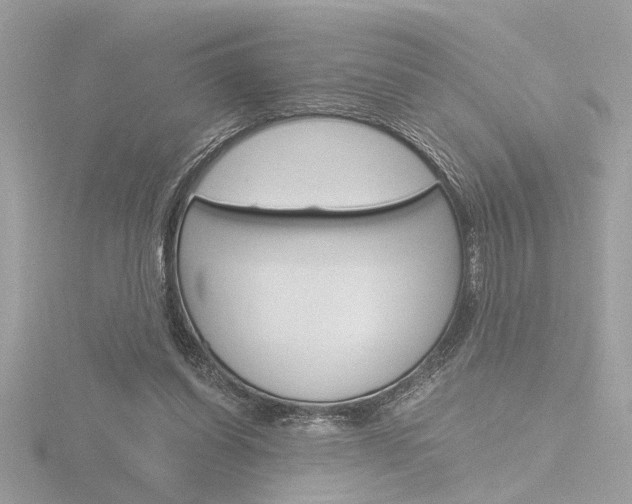 X0000116860254200912220948