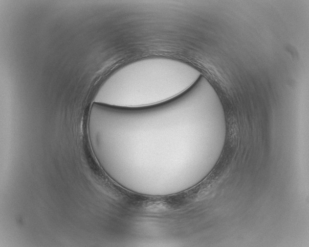 X0000116860262200912220948