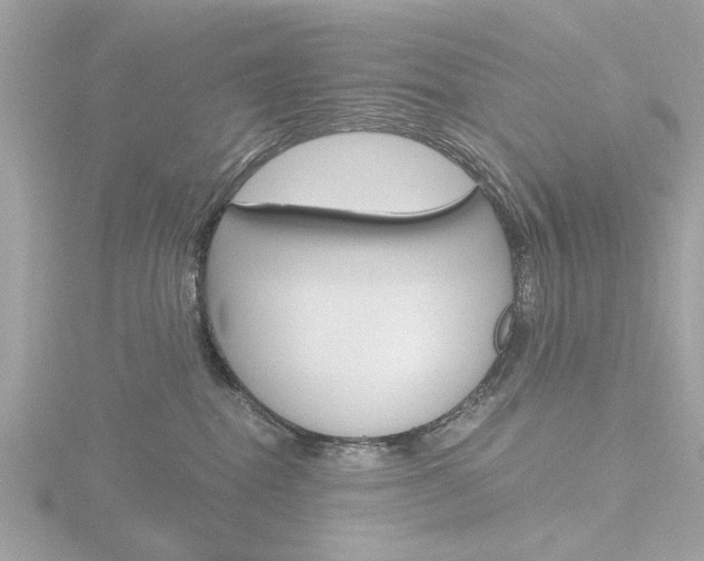 X0000116860282200912220948