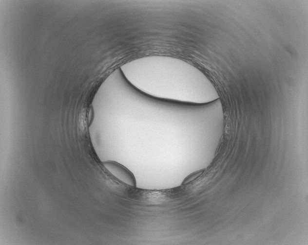 X0000116860287200912220948