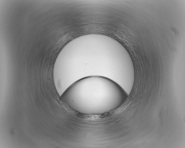 X0000116860288200912220948