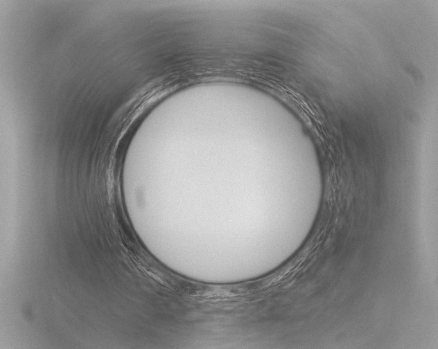 X0000116860290200912220948