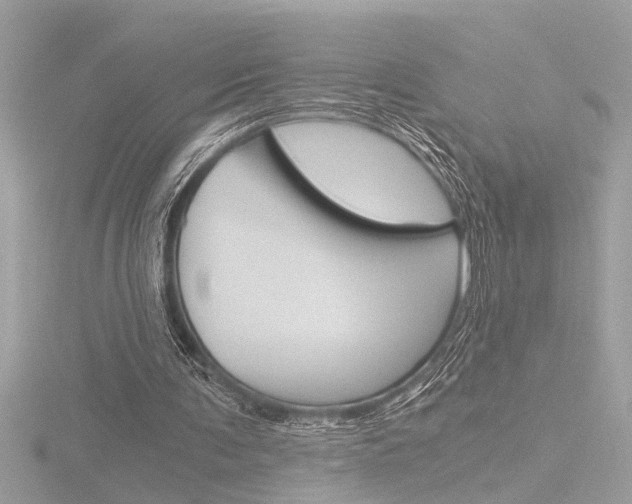X0000116860291200912220948
