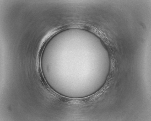X0000116860294200912220948