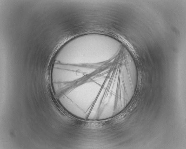 X0000116860298200912220947