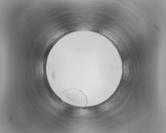 X0000116860302200912220947