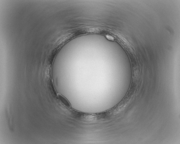 X0000116860325200912220947