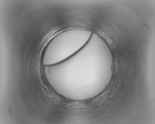 X0000116860338200912220946