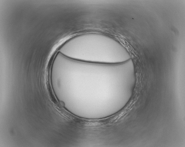 X0000116860342200912220946