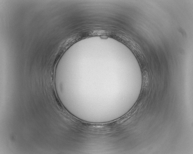 X0000116860361200912220947