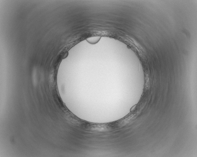 X0000116860377200912220947