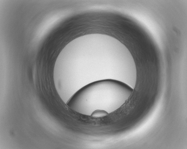 X0000116860382200912220947