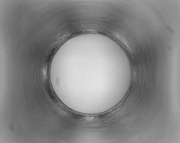 X0000116860406200912220946