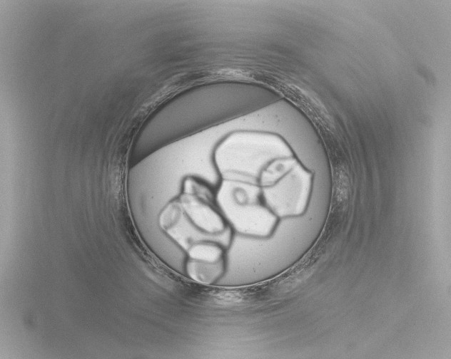 X0000116860409200912220946