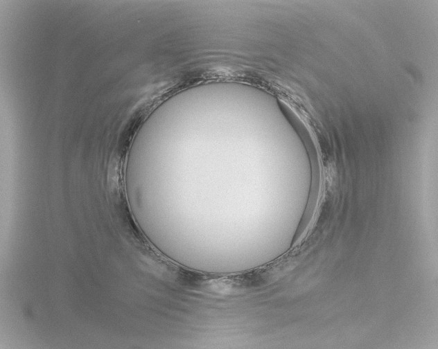 X0000116860423200912220946