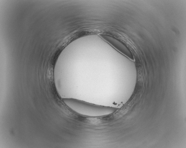 X0000116860425200912220946