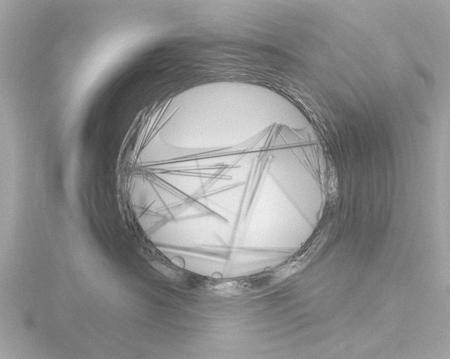 X0000116860430200912220946