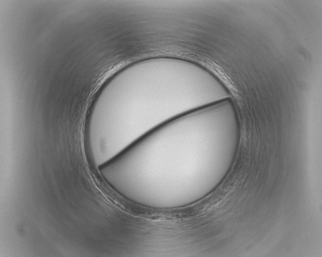 X0000116860434200912220945