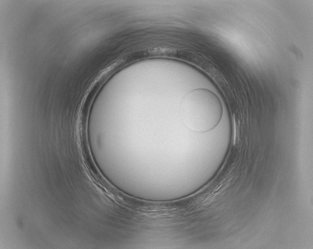 X0000116860435200912220945