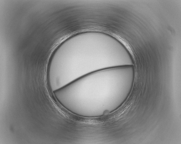X0000116860437200912220945