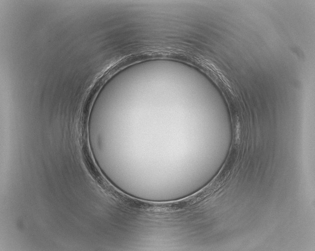 X0000116860444200912220945