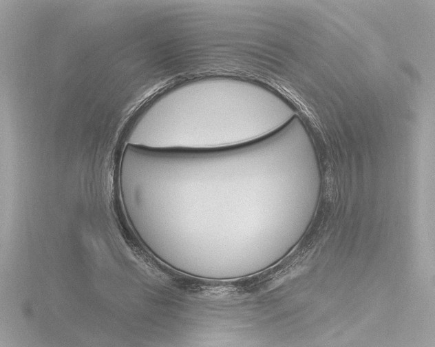 X0000116860446200912220945