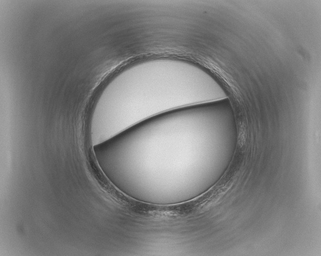 X0000116860448200912220945