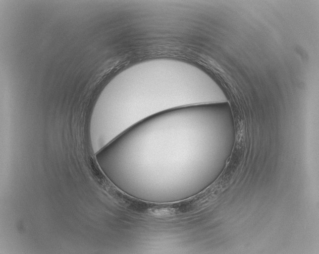 X0000116860452200912220945